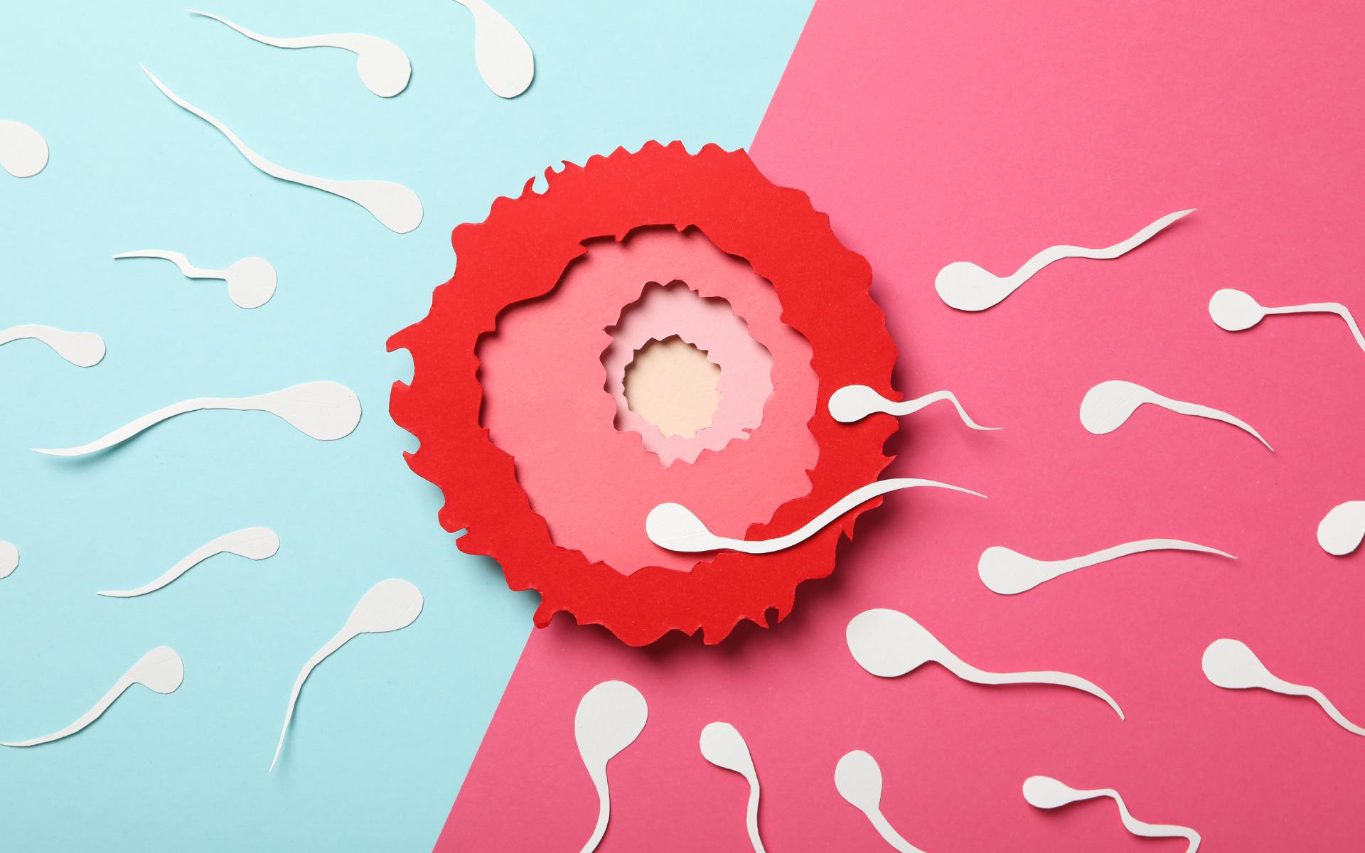 Fertility Preservation Egg Freezing