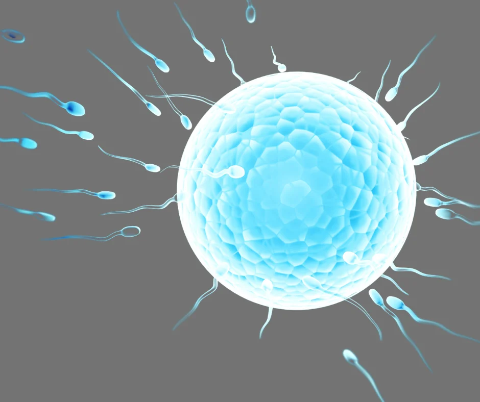 Ovulation Induction Treatment