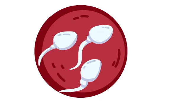 Surgical Sperm Recovery TESA PESA